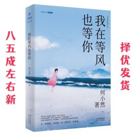 我在等风也等你  何小然 天津人民出版社 9787201146522