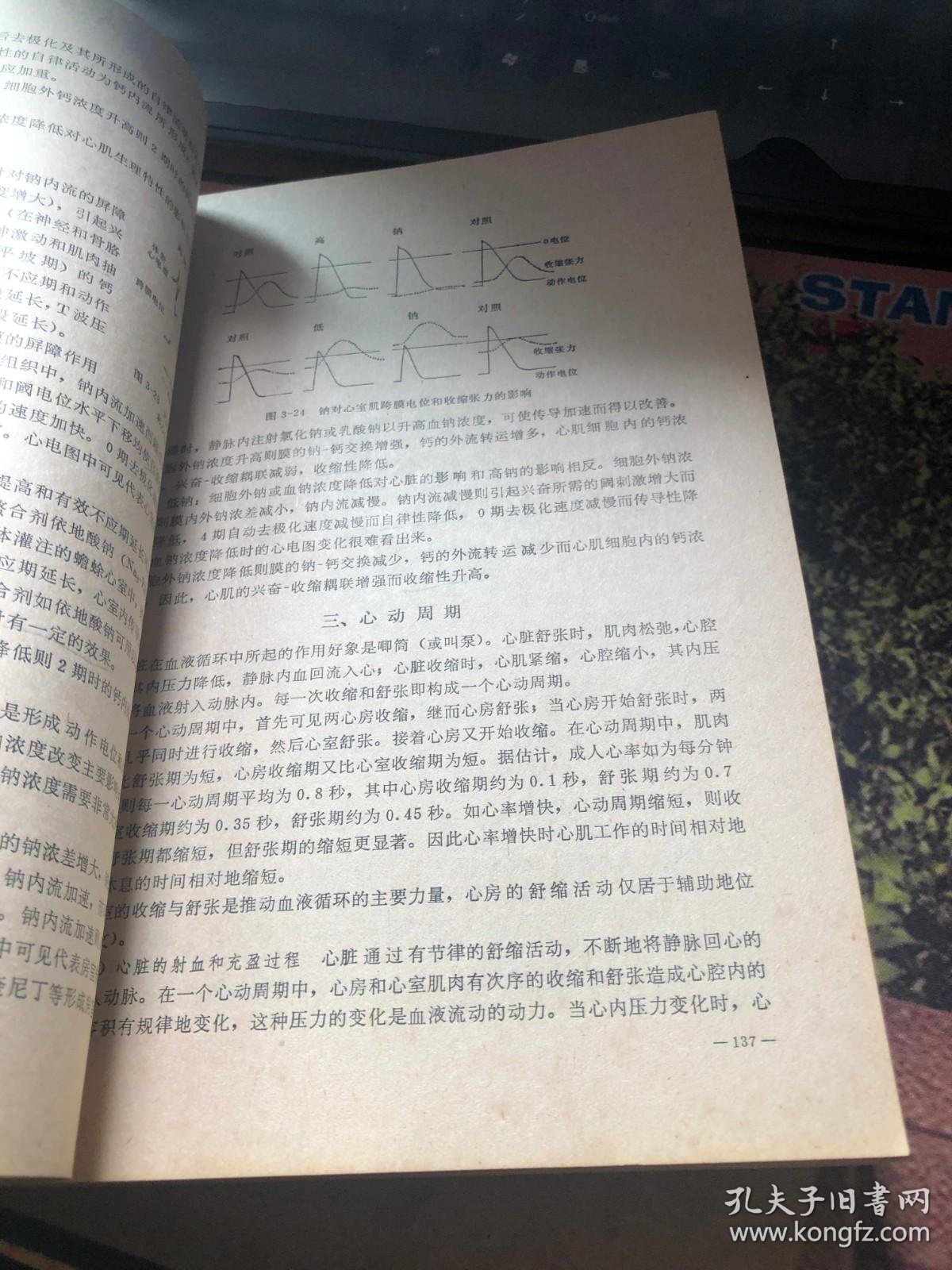 6a147906584b4dfc_b.jpg