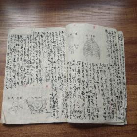 手钞本     《初学人身穷理》上卷      纸捻装订本   庆应義塾同社    有插图    抄写本