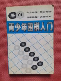 青少年围棋入门