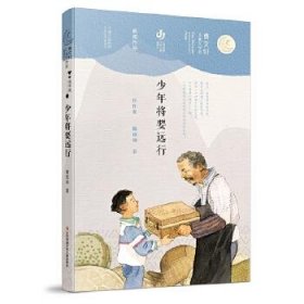 正版图书  曹文轩儿童文学奖获奖作品·佳作奖：少年将要远行 储
