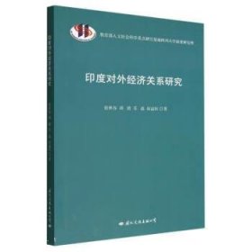 正版图书  印度对外经济关系研究 张秋荣 国际文化出版公司