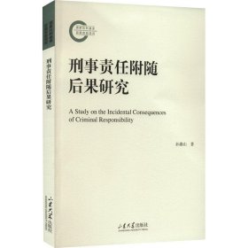 正版图书  刑事责任附随后果研究 孙燕山 山东大学出版社