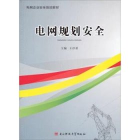 正版图书  电网规划安全 王抒祥 电子科技大学出版社