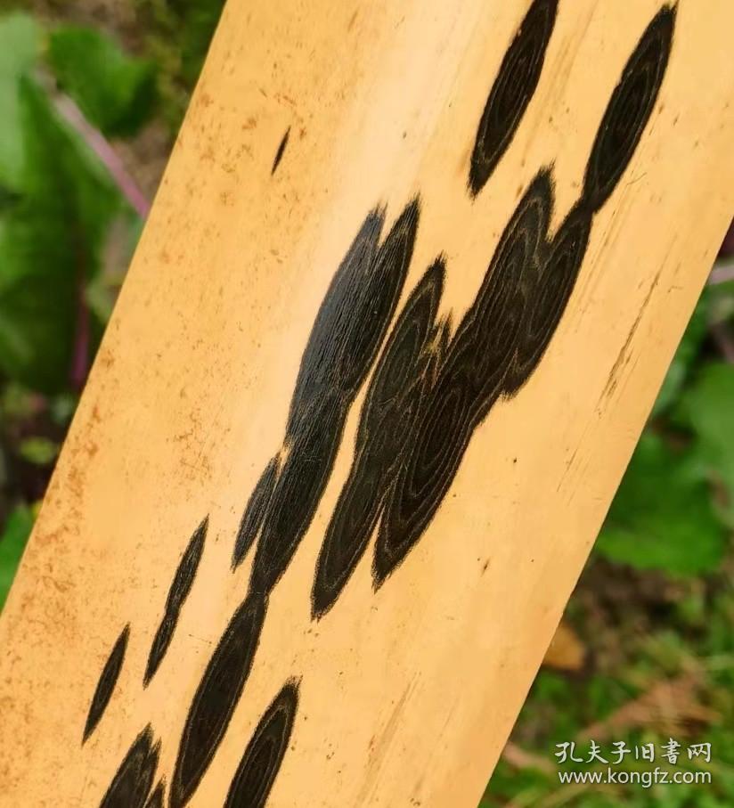 极品老料凤眼竹1片