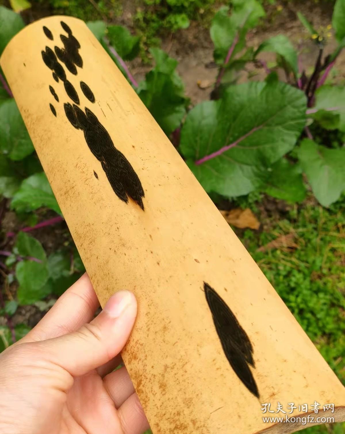 极品老料凤眼竹1片