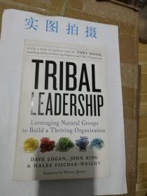 Tribal Leadership 部落领导力Dave Logan John King英文原版书籍