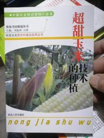 超甜玉米的种植技术