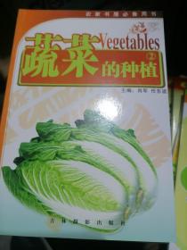 疏菜的种植2