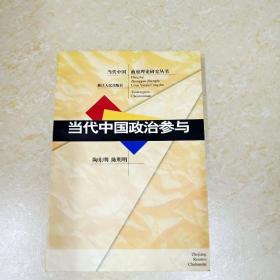 DDI271038 当代中国政治参与·当代中国政府理论研究丛书（一版一印）