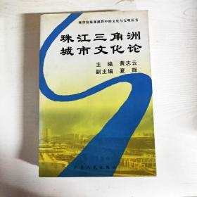 YG1005808 珠江三角洲城市文化论--科学发展观视野中的文化与文明丛书