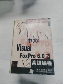 YA4019020 中文VISUAL FOXPRO6.0高级编程【有瑕疵 内有轻微划线】