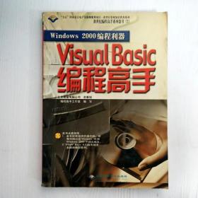 EI2045775 Windows 2000编程利器  Visual Basic编程高手--新世纪编程高手系列丛书（无光盘）