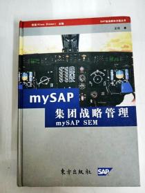 DDI272574 mySAP集团战略管理【一版一印】