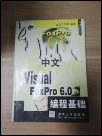 EI2036010 中文Visual FoxPro 6.0编程基础