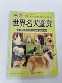 EFA423638 世界名犬鉴赏【一版一印】（有瑕疵：书脊略有破损）