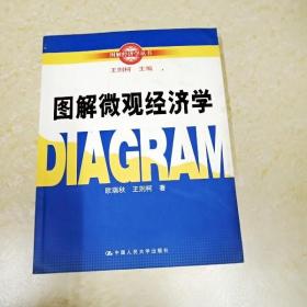 DDI268600 图解经济学丛书·图解微观经济学