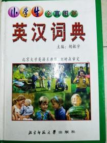 DI2164725 小学生全真图解 英汉词典（一版一印）