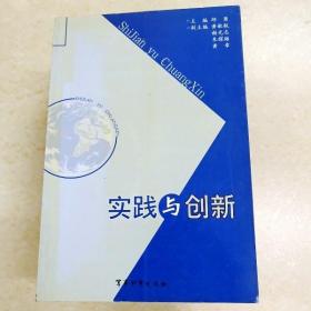 DDI264865 实践与创新·中国当代思想教育艺术研究丛书（一版一印）