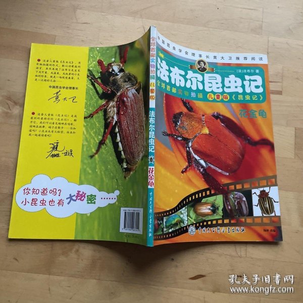 法布尔 昆虫记 花 金龟 儿童版