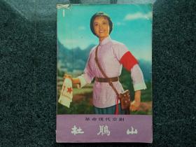革命现代京剧：杜鹃山