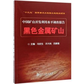 中国矿山开发利用水平调查报告：黑色金属矿山