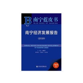 南宁经济发展报告2020