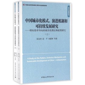 中国城市化模式演进机制和可持续发展研究(上下册)