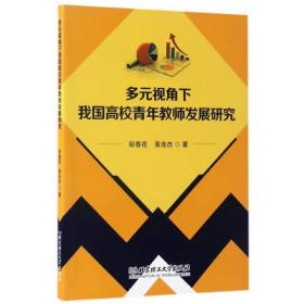 （正版）多元視角下我國高校青年教師發展研究