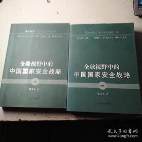 全球视野中的中国国家安全战略 中卷