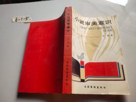 小说审美意识