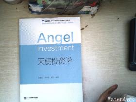 天使投资学.0