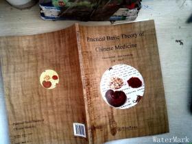 实用中医学基础 = Practical Basic Theory of Chinese Medicine