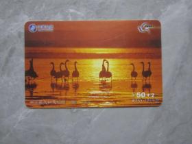 山东201齐鲁电话卡16-4-3---中国最大的天鹅湖.单张散卡