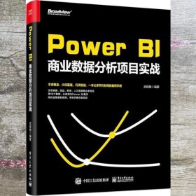 POWER BI商业数据分析项目实战 武俊敏 电子工业出版社9787121360848