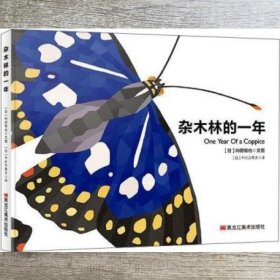 杂木林的一年 精 [日] 向田智也 黑龙江美术出版社 9787559349767
