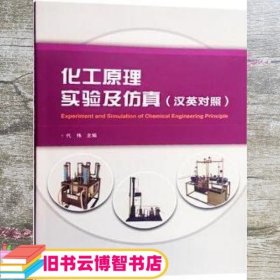 化工原理实验及仿真 代伟 武汉大学出版社 9787307199736