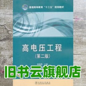 高电压工程 林福昌 中国电力出版社 9787512322066
