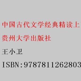 中国古代文学经典精读上下卷 王小卫 贵州大学出版社 9787811262803