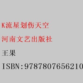 K流星划伤天空 王果 9787807656210 河南文艺出版社