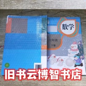 数学 六年级 下册 卢江 人民教育出版社 9787107291036