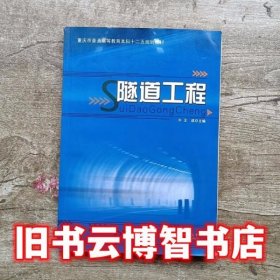 隧道工程 王成 人民交通出版社 9787114078668
