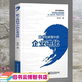 数字化转型中的企业进化 王兴山 电子工业出版社 9787121369599