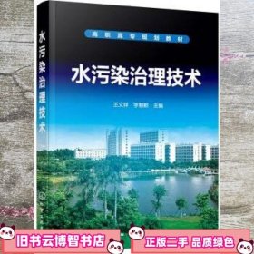 水污染治理技术 王文祥 化学工业出版社 9787122349828