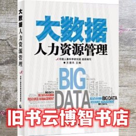 大数据人力资源管理 王通讯 中国人事出版社 9787512910966