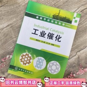 工业催化 唐晓东 王豪 汪芳 化学工业出版社9787122078452