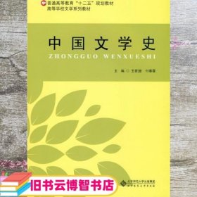 中国文学史 王若珺 北京师范大学出版社 9787303184170
