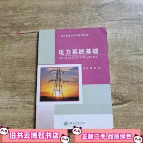 电力系统基础 郑静 上海交通大学出版社 9787313169570