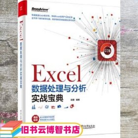 Excel数据处理与分析实战宝典 耿勇 电子工业出版社 9787121305139