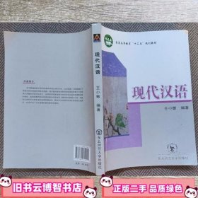 现代汉语 王小敏 东北师范大学出版社 9787560270944